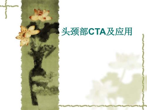 头颈部CTAPPT课件.ppt