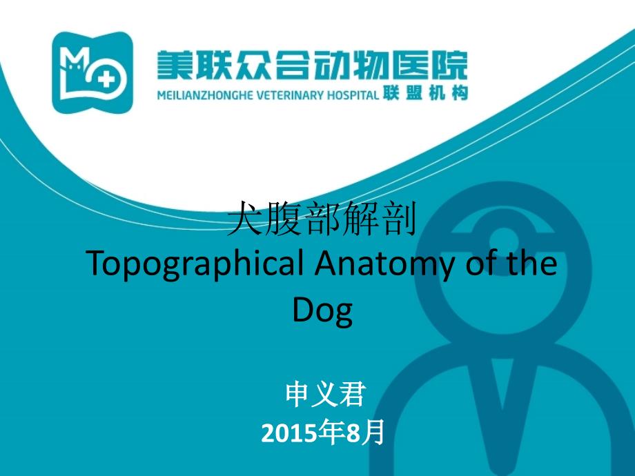 犬腹部解剖PPT课件.ppt_第1页