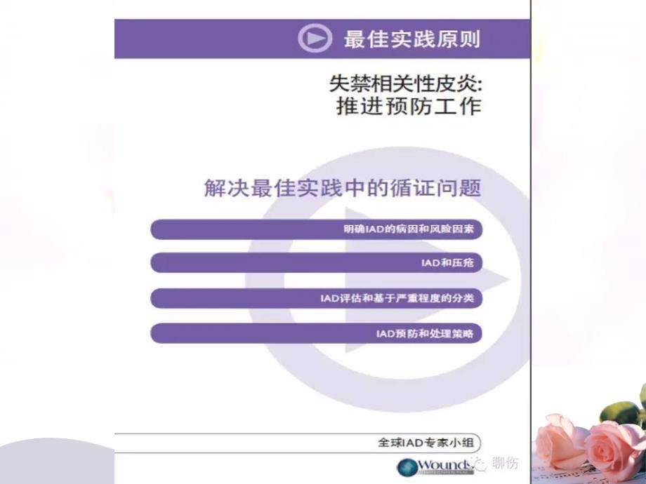 失禁性皮炎指南.ppt_第2页