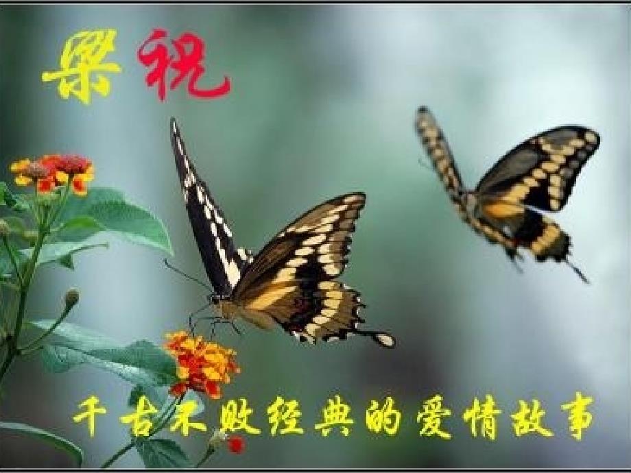孔雀东南飞用.ppt_第1页