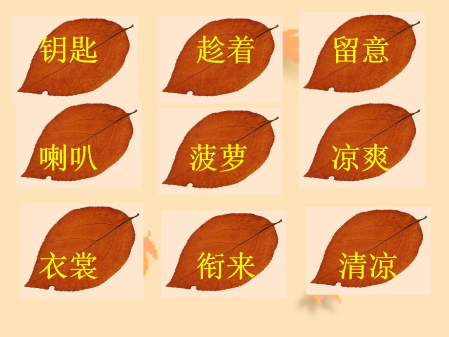 三年级语文天的雨PPT.ppt_第3页