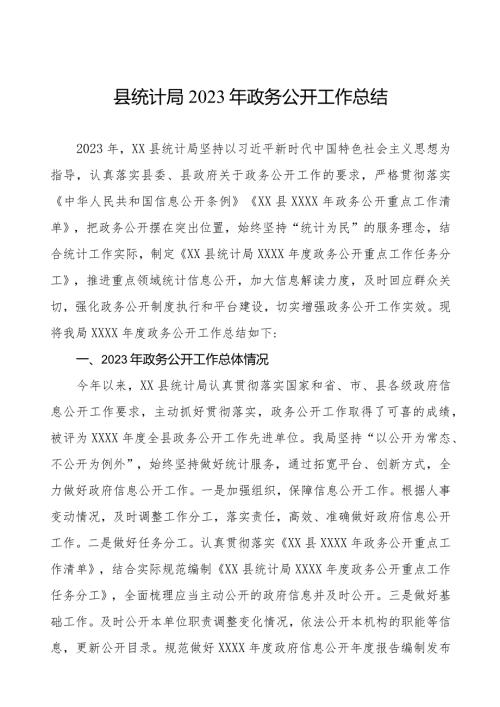 县统计局2023年政务公开工作总结.docx