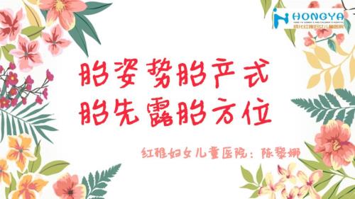 胎姿势胎产式胎先露胎方位课件.ppt