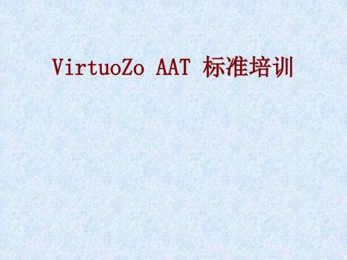 VirtuoZoAAT标准培训文档之操作说明.ppt