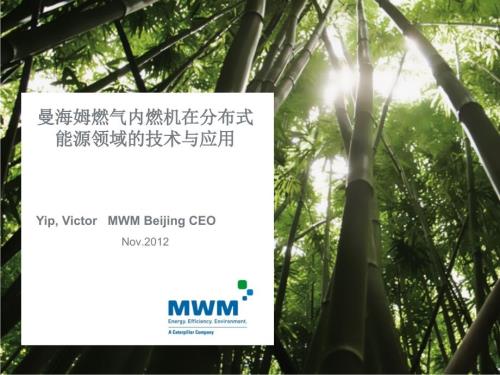 victormwm曼海姆燃气内燃机在分布式能源领域的技术与应用.ppt