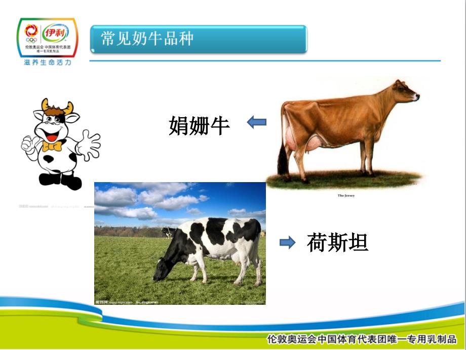 奶牛基础知识PT课件.ppt_第3页