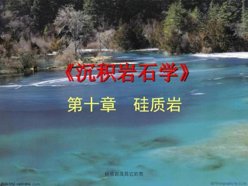 硅质岩及其它岩类课件.ppt