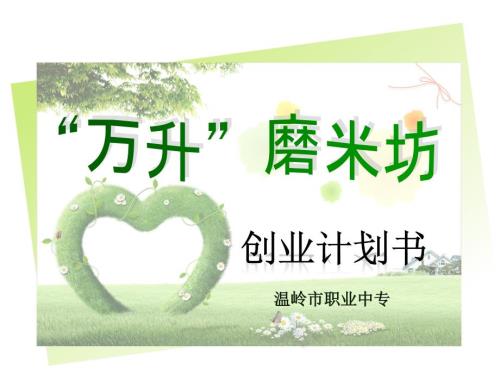 万升磨米坊创业计划书.ppt
