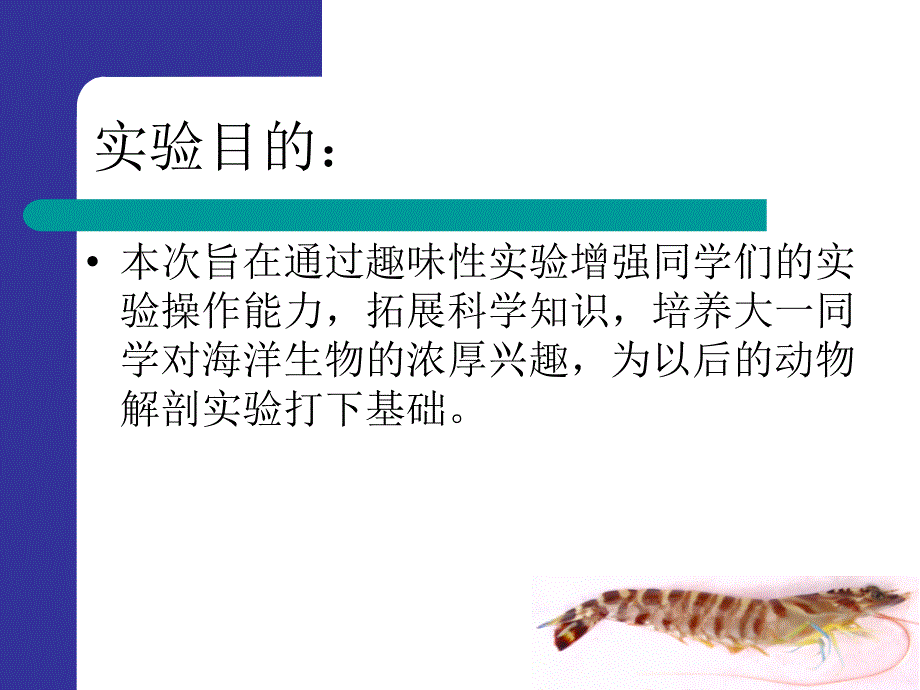 对虾解剖讲解课件.ppt_第3页