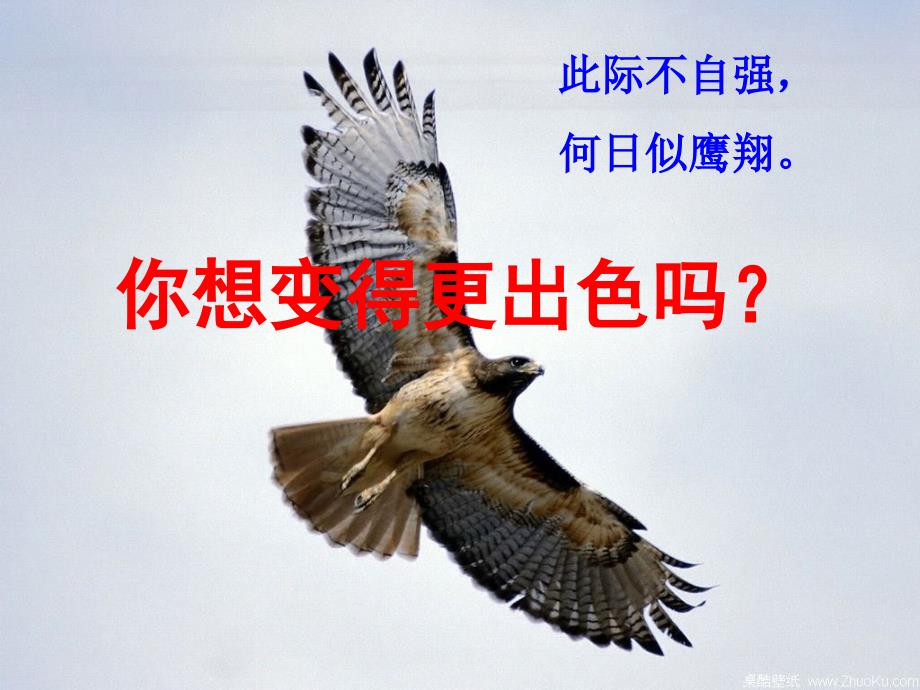 如何让自己变得更优秀.ppt_第1页
