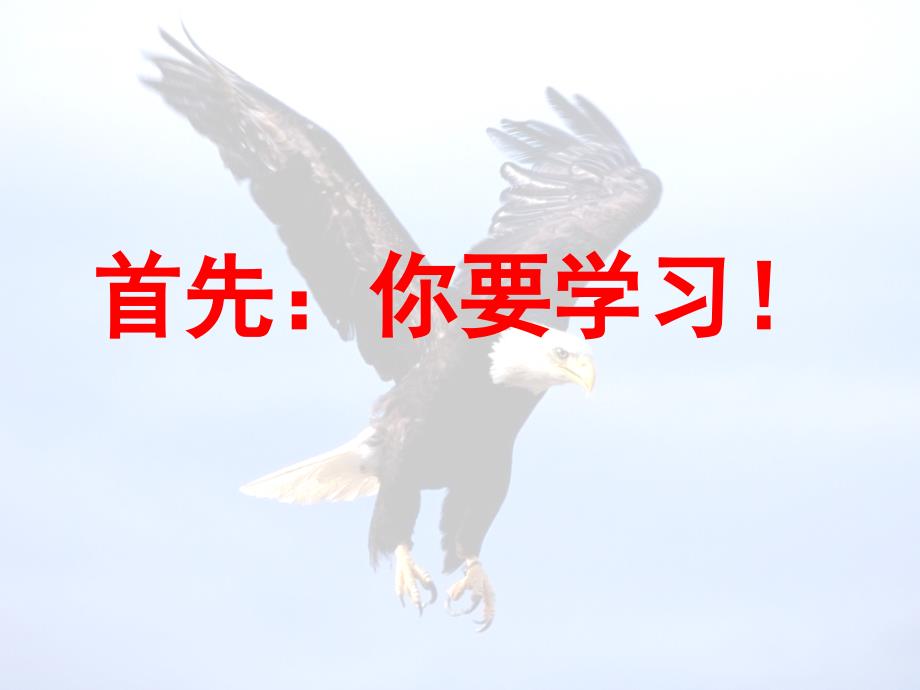 如何让自己变得更优秀.ppt_第2页