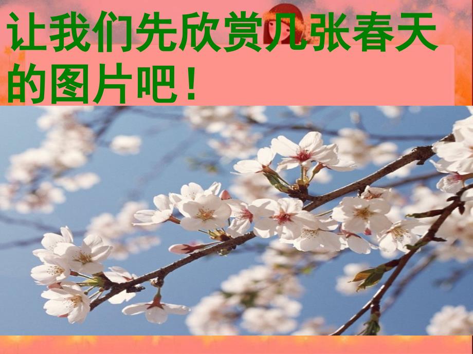 燕子PPT课件.ppt_第1页