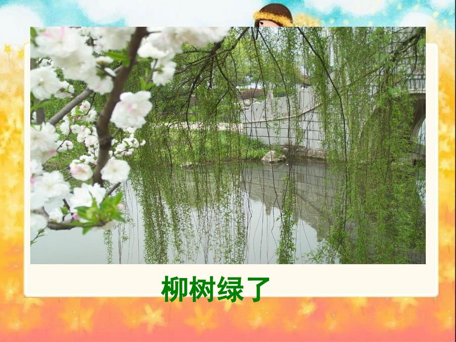 燕子PPT课件.ppt_第3页