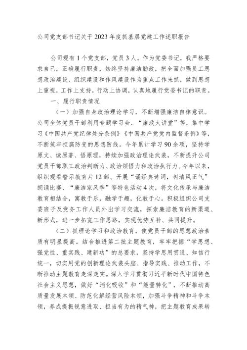 国企公司党支部书记关于20232024抓基层党建工作述职报告.docx