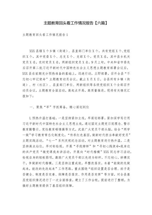 主题教育回头看工作情况报告【六篇】.docx