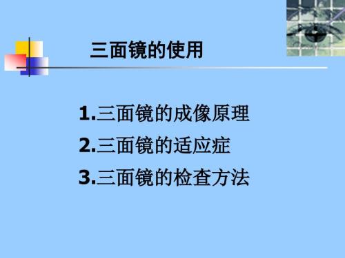 眼底检查三面镜检查眼科研究生课件.ppt