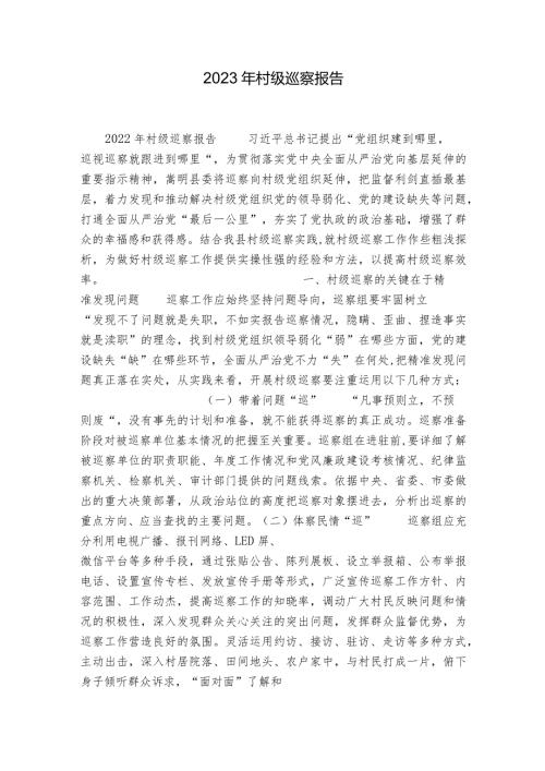 2023年村级巡察报告.docx