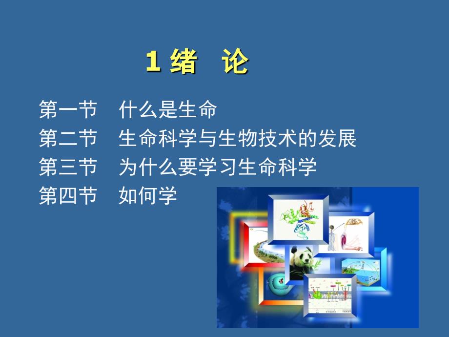生命科学PPT课件.ppt_第2页