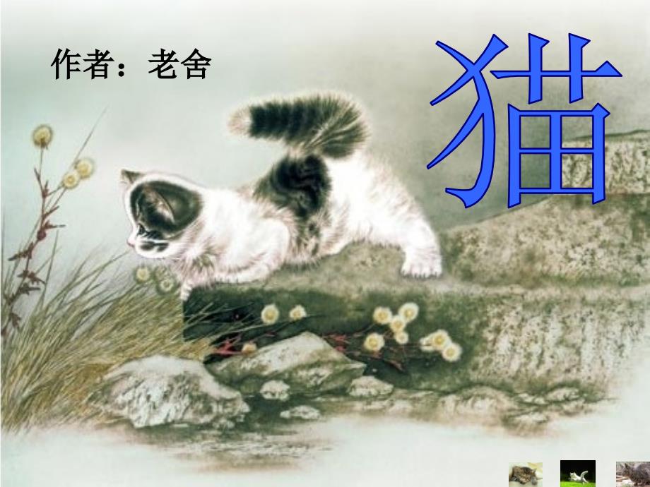 猫老舍公开课课件.ppt_第1页