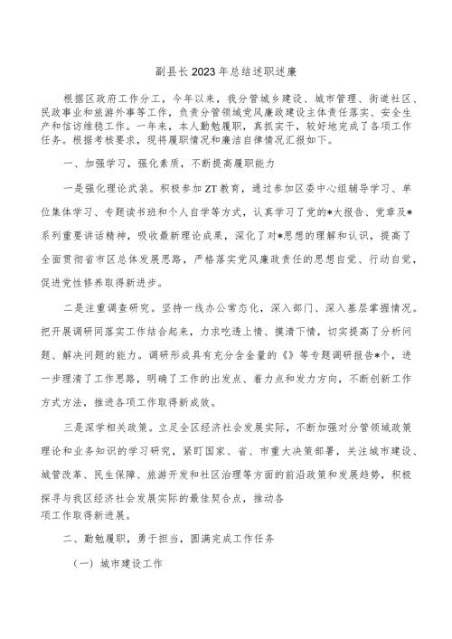 副县长2023年总结述职述廉.docx