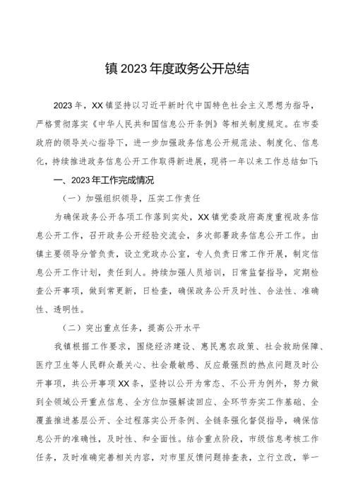 镇2023政务公开总结.docx
