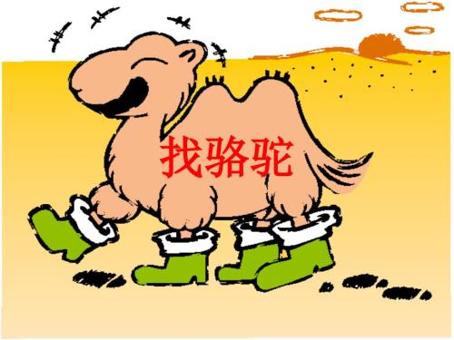 百科认识骆驼PPT课件.ppt