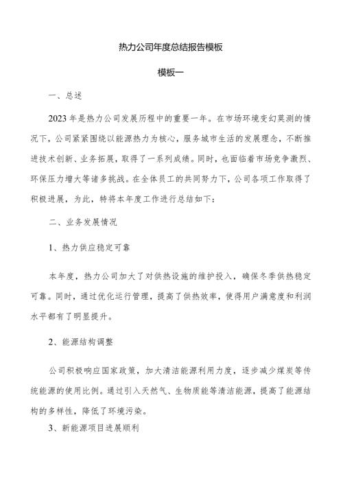 热力公司总结报告模板.docx