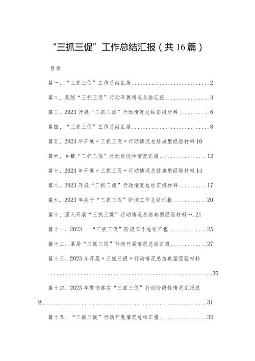 “三抓三促”工作总结汇报精选（参考范文16篇）(1).docx