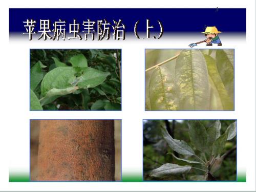 病虫害防治PPT课件.ppt
