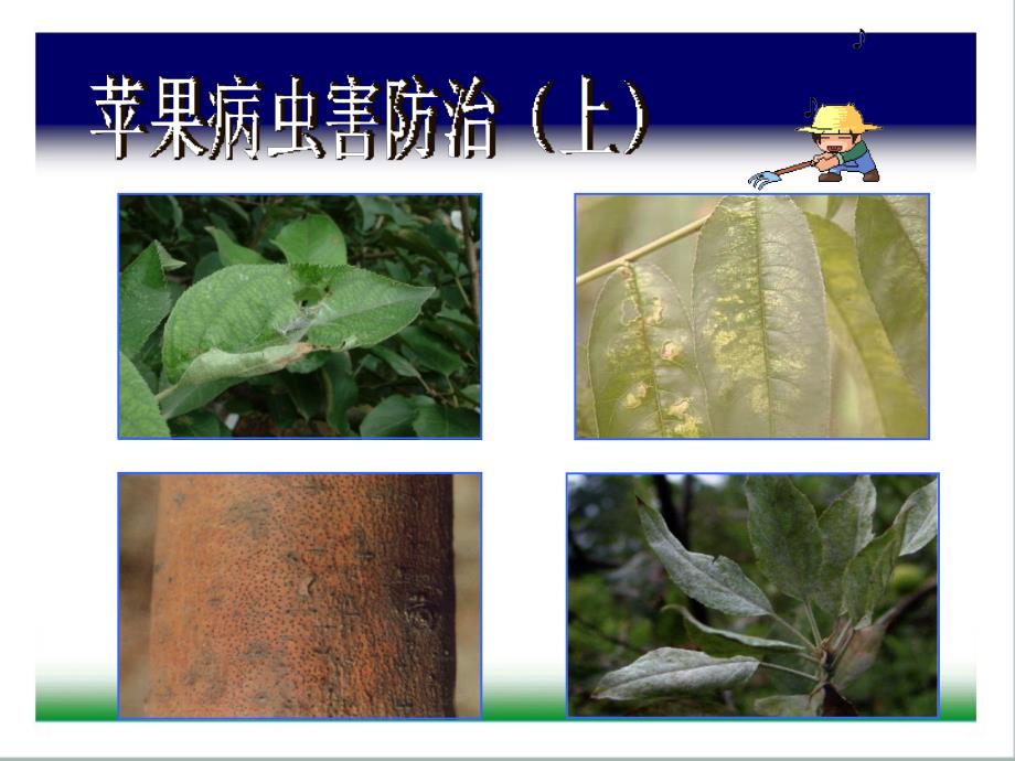 病虫害防治PPT课件.ppt_第1页