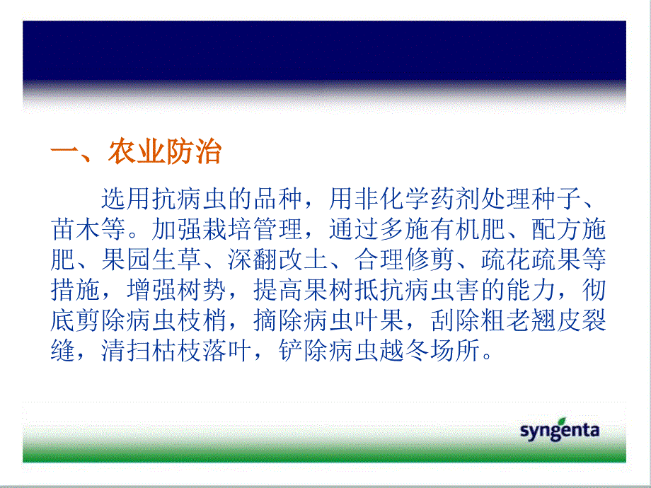 病虫害防治PPT课件.ppt_第3页