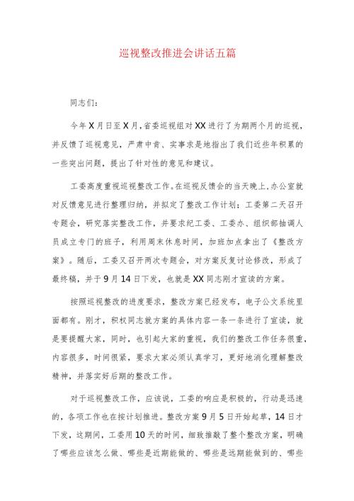 巡视整改推进会讲话五篇.docx