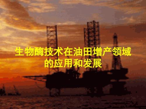 生物酶技术在油田增产领域的应用和发展.ppt