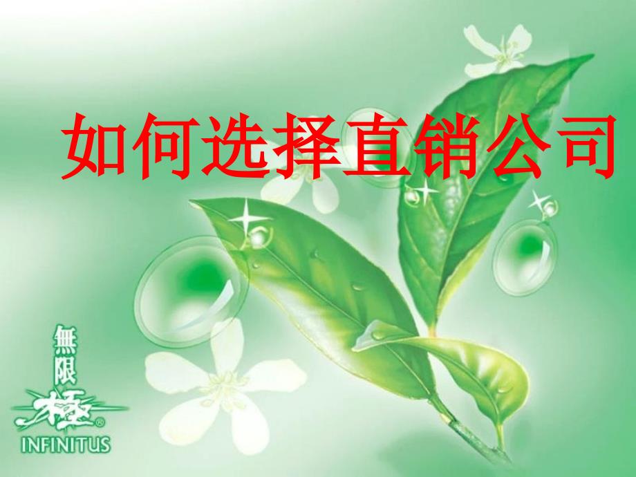 如何选择直销公司PPT课件.ppt_第1页
