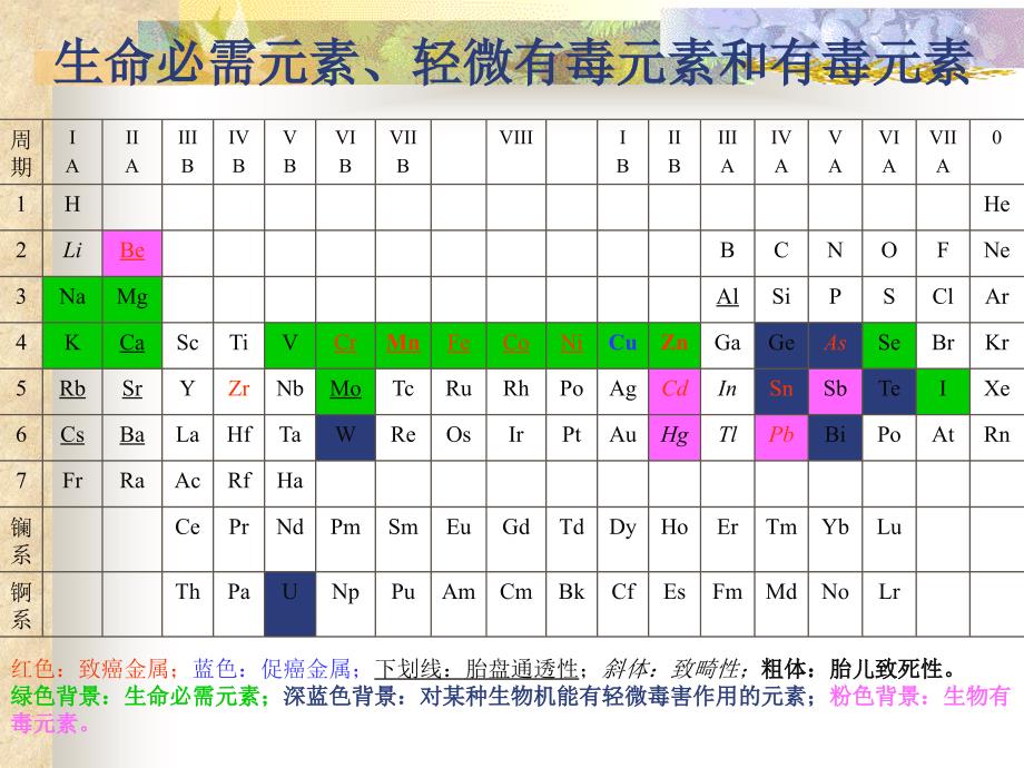 生命必需元素PPT课件.ppt_第1页