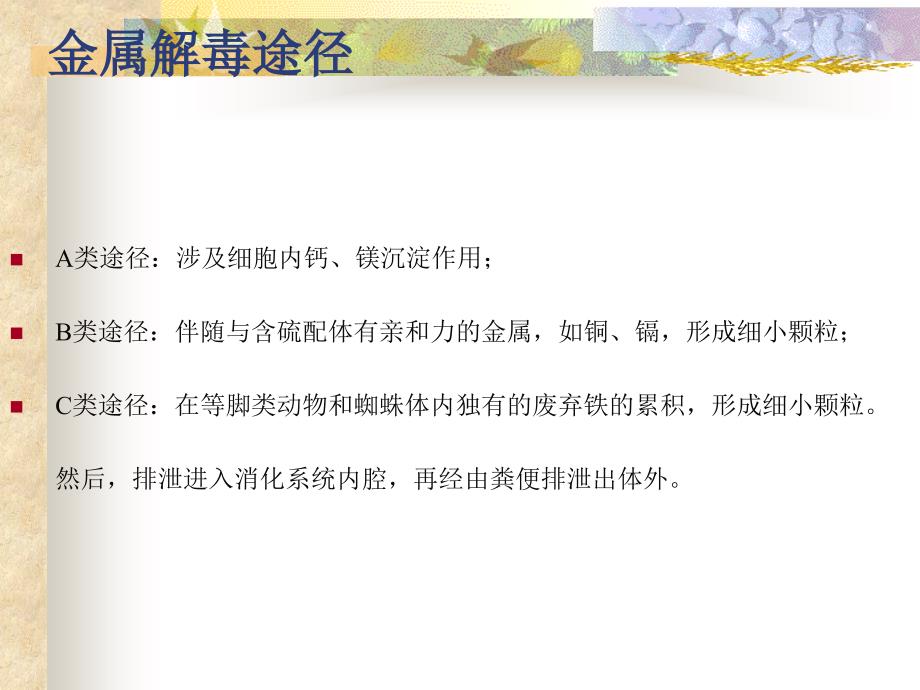 生命必需元素PPT课件.ppt_第2页