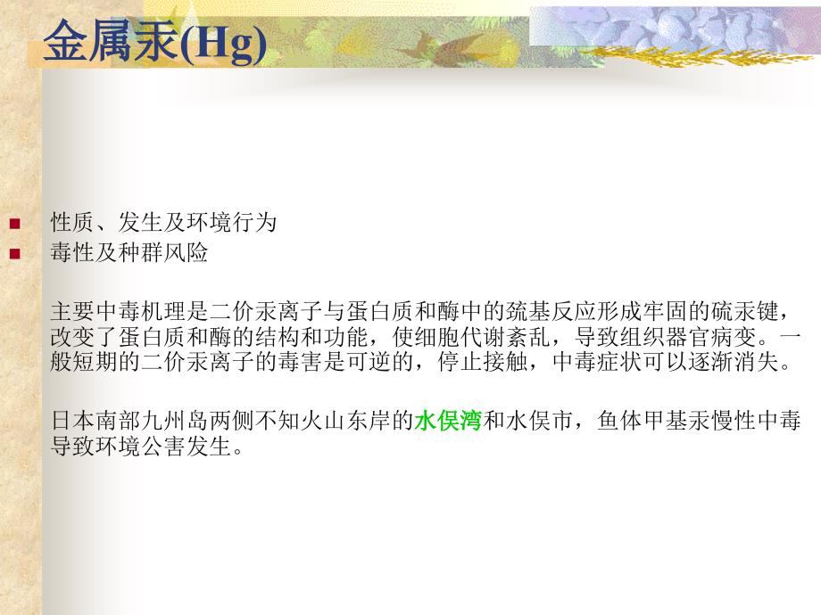 生命必需元素PPT课件.ppt_第3页