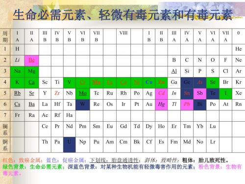 生命必需元素PPT课件.ppt