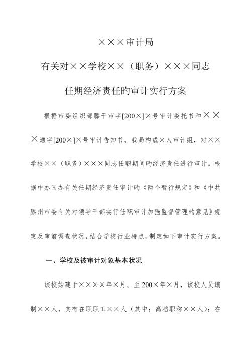 学校经济责任审计实施专题方案.docx