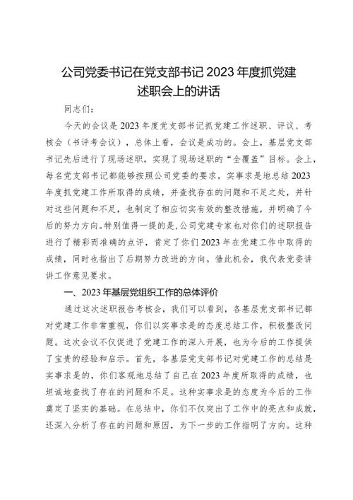 国企公司党委书记在党支部书记20232024抓党建述职会上的讲话.docx