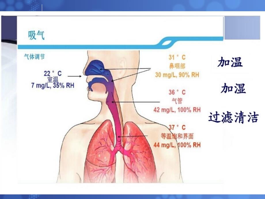 人工气道湿化课件.ppt_第3页