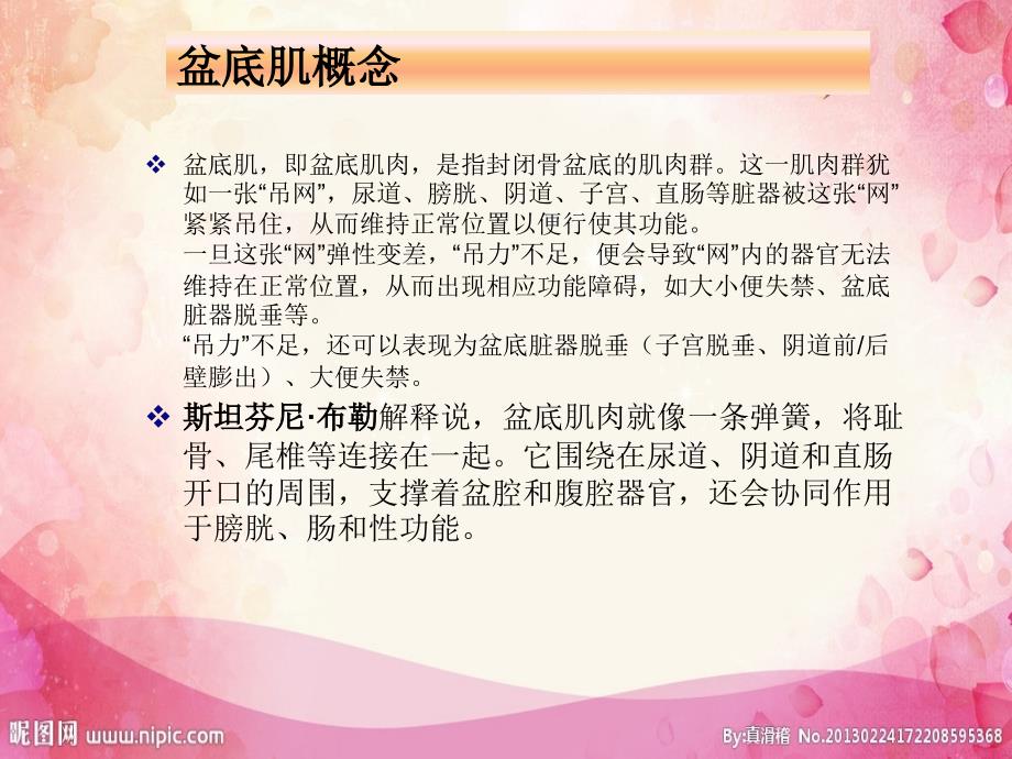 盆底肌康复PPT课件.ppt_第2页