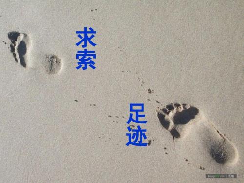 如何学好高中语文PPT课件.ppt