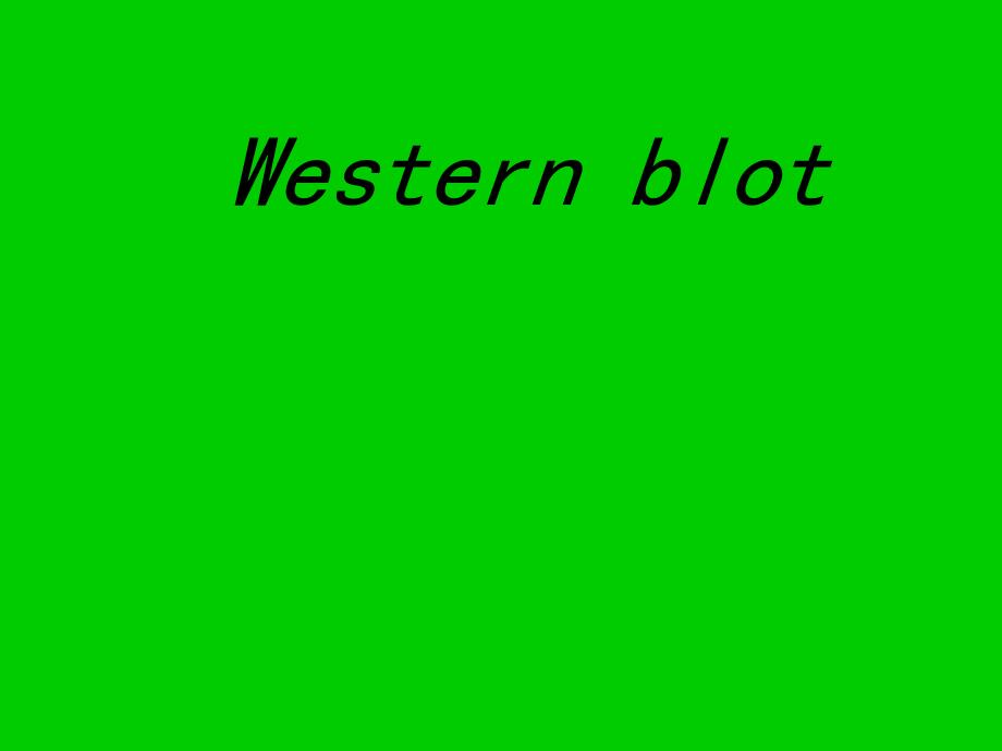 Westernblot的由来原理步骤帮你理解.ppt_第1页