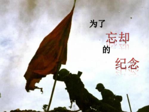 对越自卫反击战PPT课件.ppt