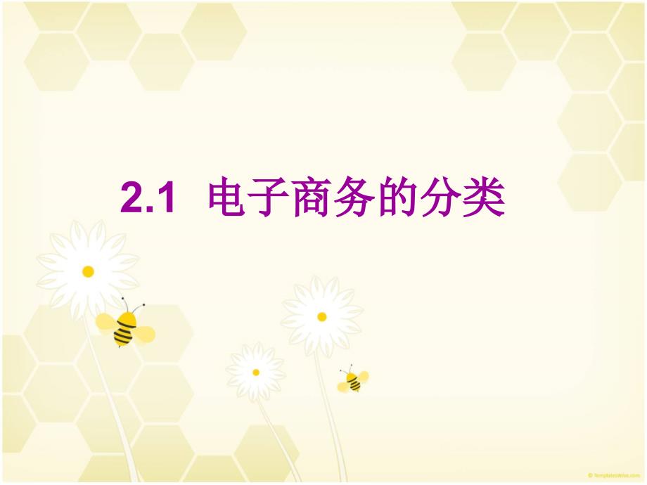电子商务分类PPT课件.ppt_第1页