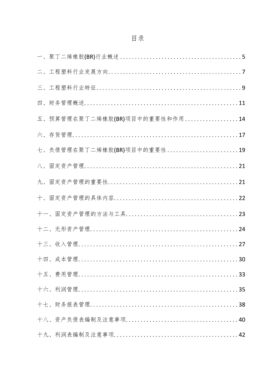 聚丁二烯橡胶（BR）项目财务管理方案.docx_第3页