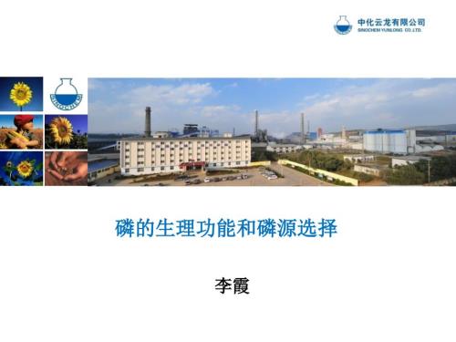 磷的生理功能和磷源选择.ppt