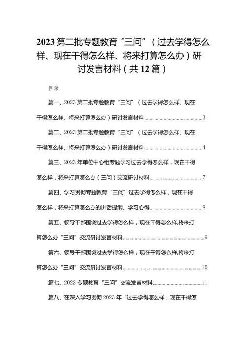 第二批专题教育“三问”（过去学得怎么样、现在干得怎么样、将来打算怎么办）研讨发言材料12篇供参考.docx