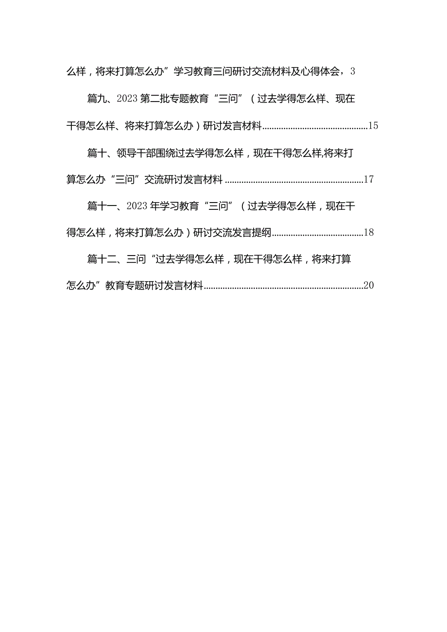 第二批专题教育“三问”（过去学得怎么样、现在干得怎么样、将来打算怎么办）研讨发言材料12篇供参考.docx_第2页